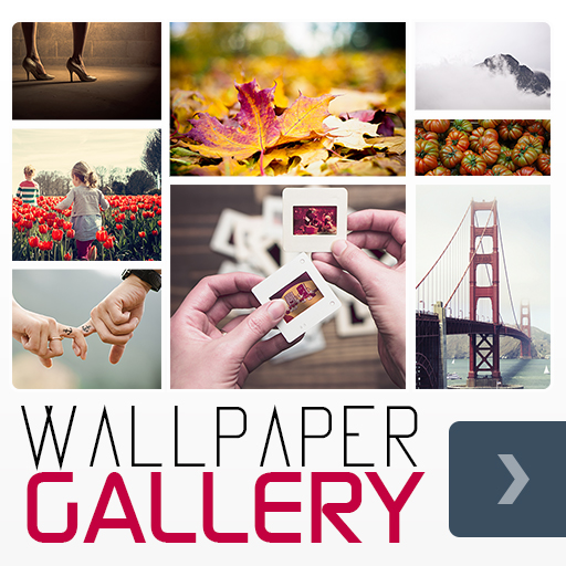Wallpaper Gallery