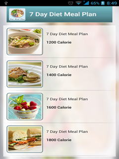Diary Diet Plan